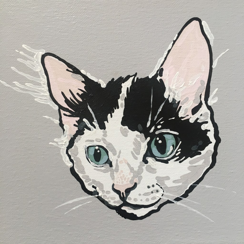New Pet Portraits