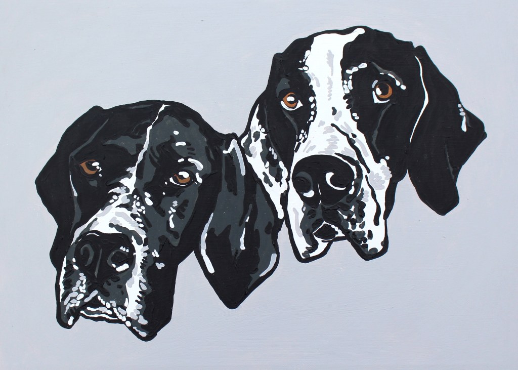 A Delightful Set of Faces