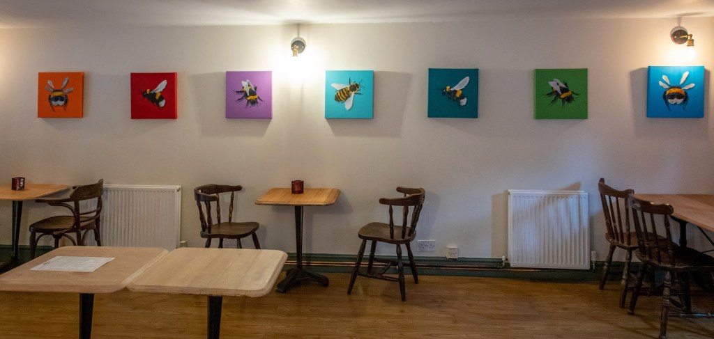 Thriving in Cambridge!