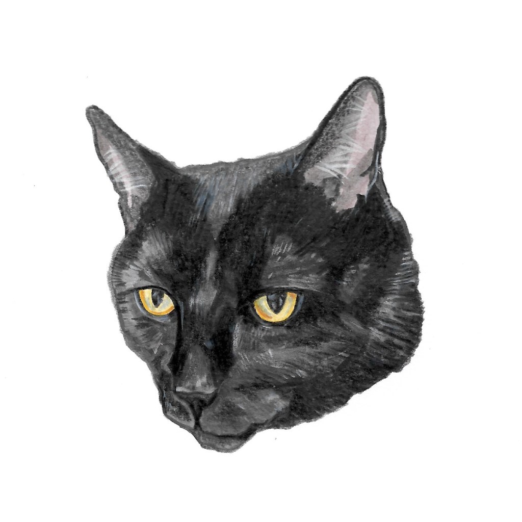 A tribute to,&nbsp;Eric.